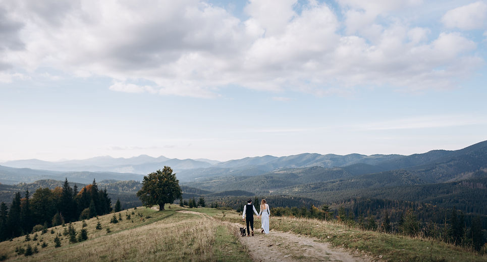 couple holding hands with black dog walking in mountains. girl in a blue dress. groom in s