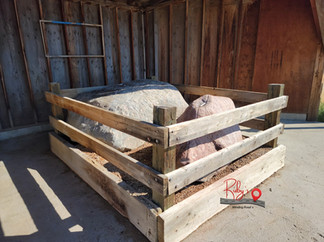 Sleeping Buffalo and Medicine Rocks