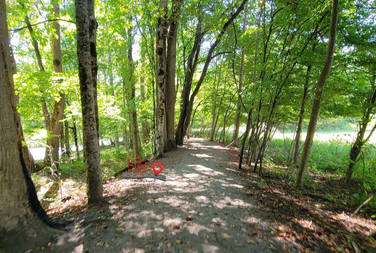 Pet friendly Oconaluftee Trail follows a river.