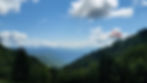 A view of green tree tops and hazy blue mountains.