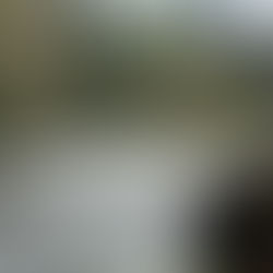 When Nature Speaks for Me: A Weekend in Algonquin Provincial Park