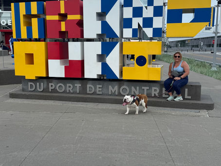 2025: A Year of Slowing Down, Learning, and Quiet Gratitude