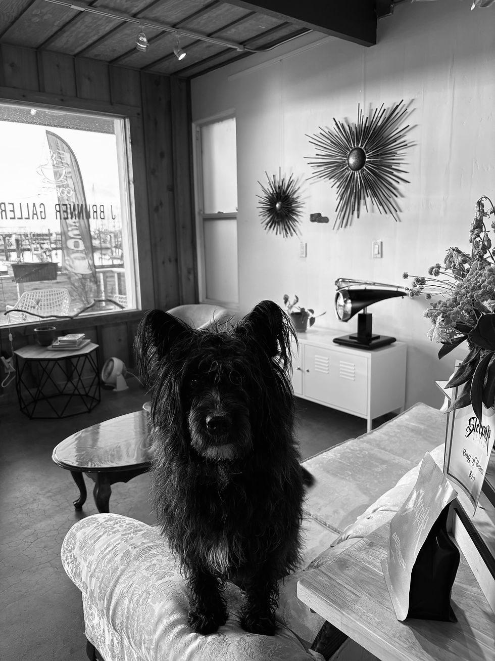BIRDY THE SHOP MASCOT