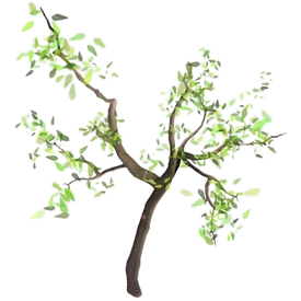426-4266466_arbre-branche-png-arbre-avec-branche-png-transparent_edited.png