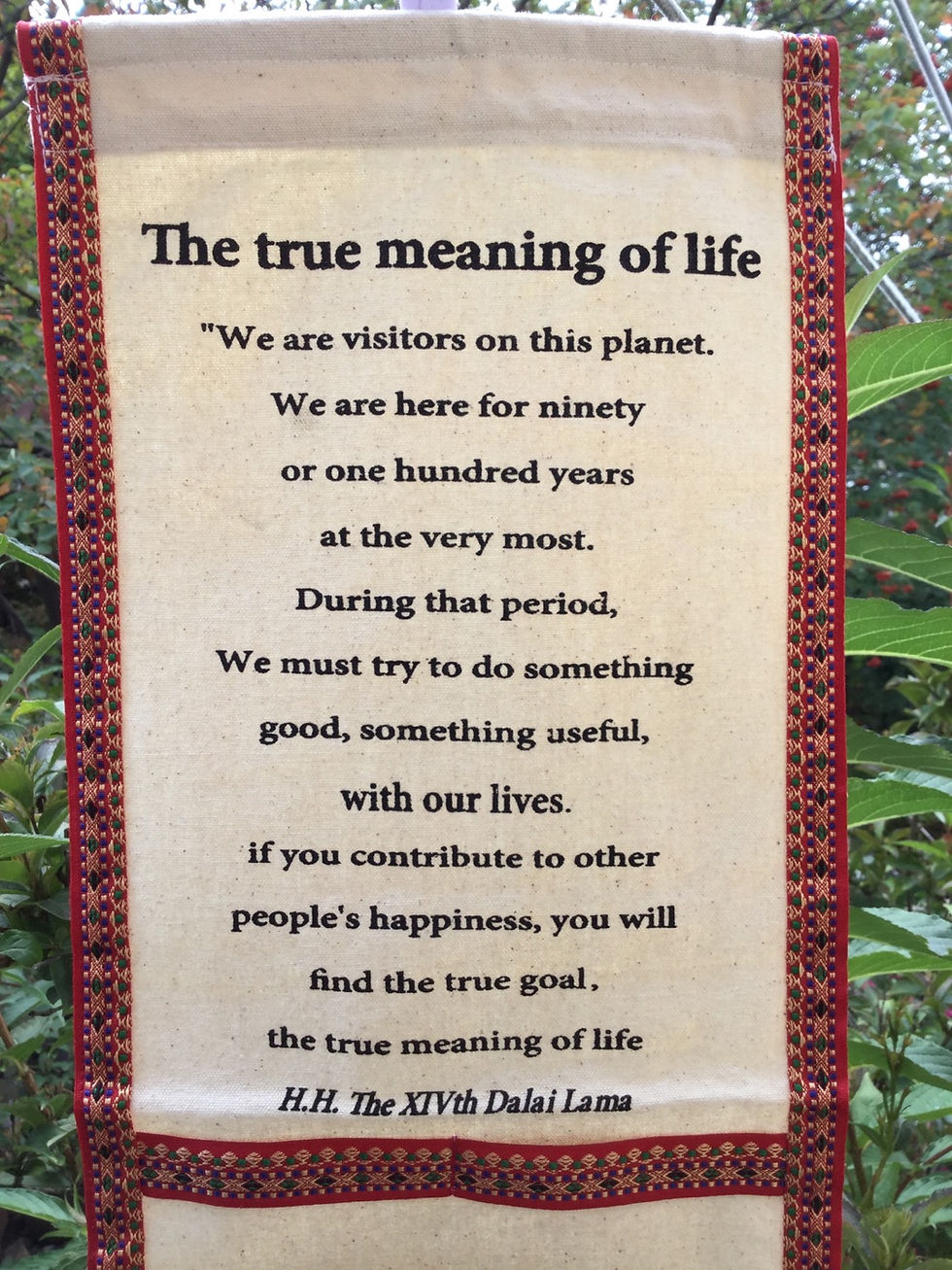 Banner with message on True meaning of life