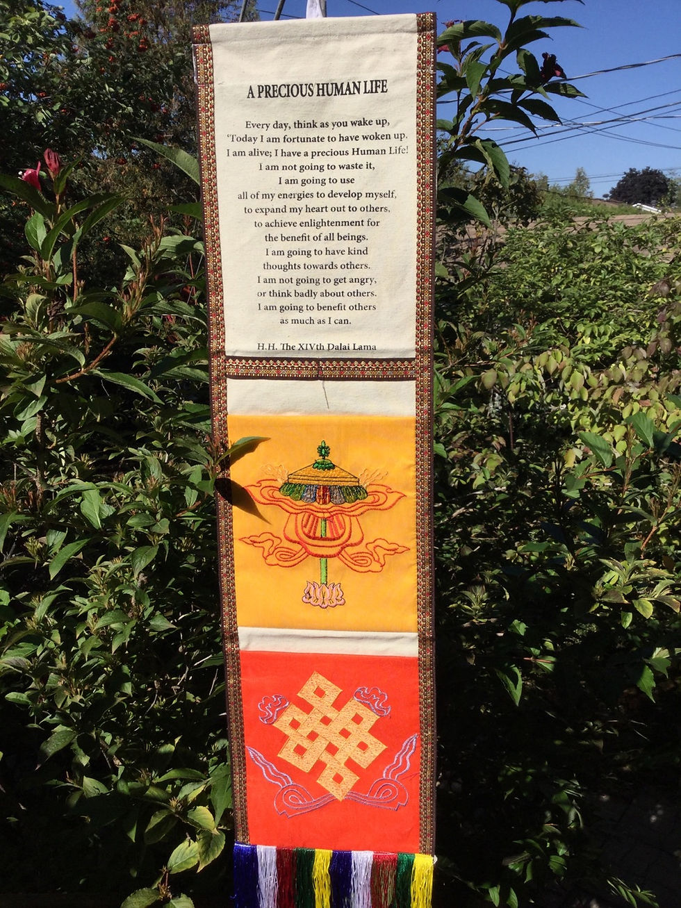 Banner with message on the Precious Human Life by HHDL