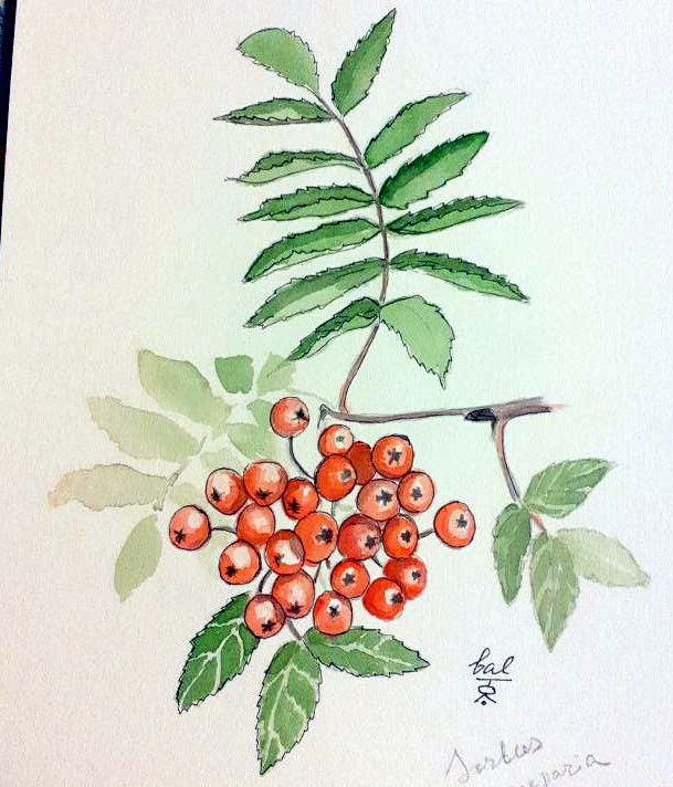 photo_2026-01-22_09-34-32