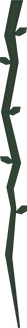 websitevisualsvine2_edited_edited.png