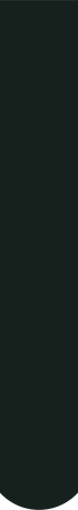 websitevisualsdecorstrip1.png