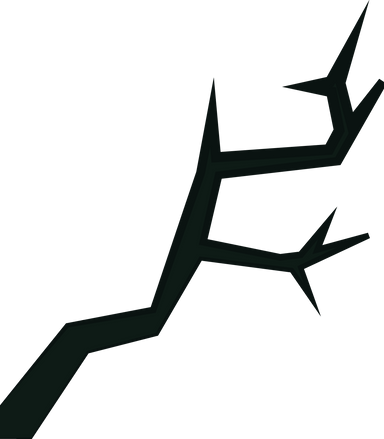 websitevisualsangledbranch2_edited_edite