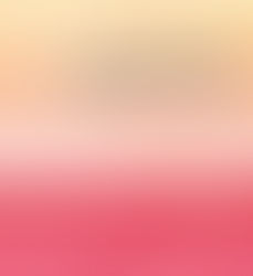 A Research Agenda for Disaster Law: an online conversation with contributors