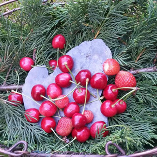 des cerises dans un panier