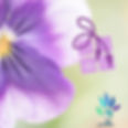 Logo Pensée Massage et carte cadeau