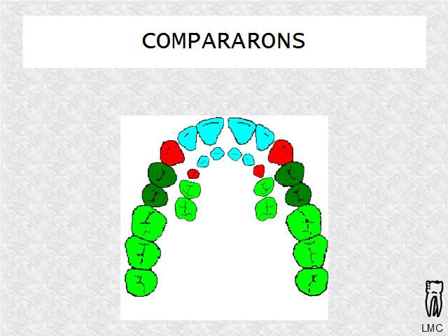 Comparaison dents adulte et enfant