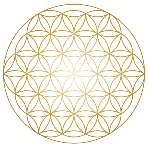 fleur-de-vie-transparent_edited.png