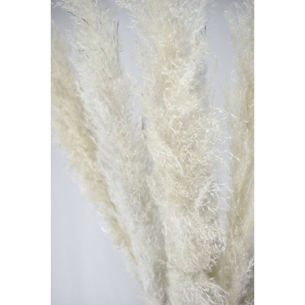 Thumbnail: Pampas pluimen (wit/grijs)