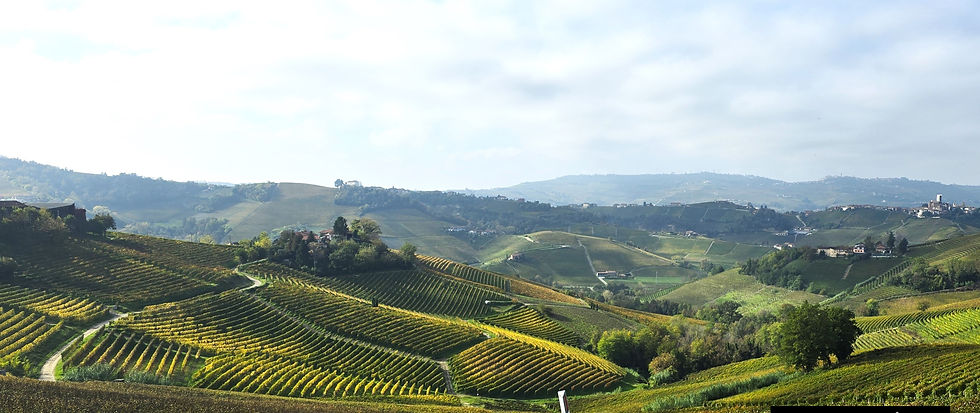 Piemonte Landscape