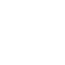 shield (2).png