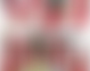 Design a Stunning Blog