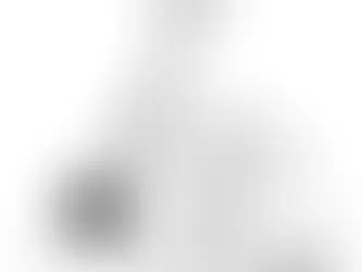 "Melodies of the Mind: Exploring Cortical Plasticity Through Music"