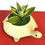 Thumbnail: Sansevieria Golden