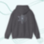 Secrets of the Night Sky Hoodie Back View