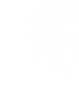 about-deco-png-1.png
