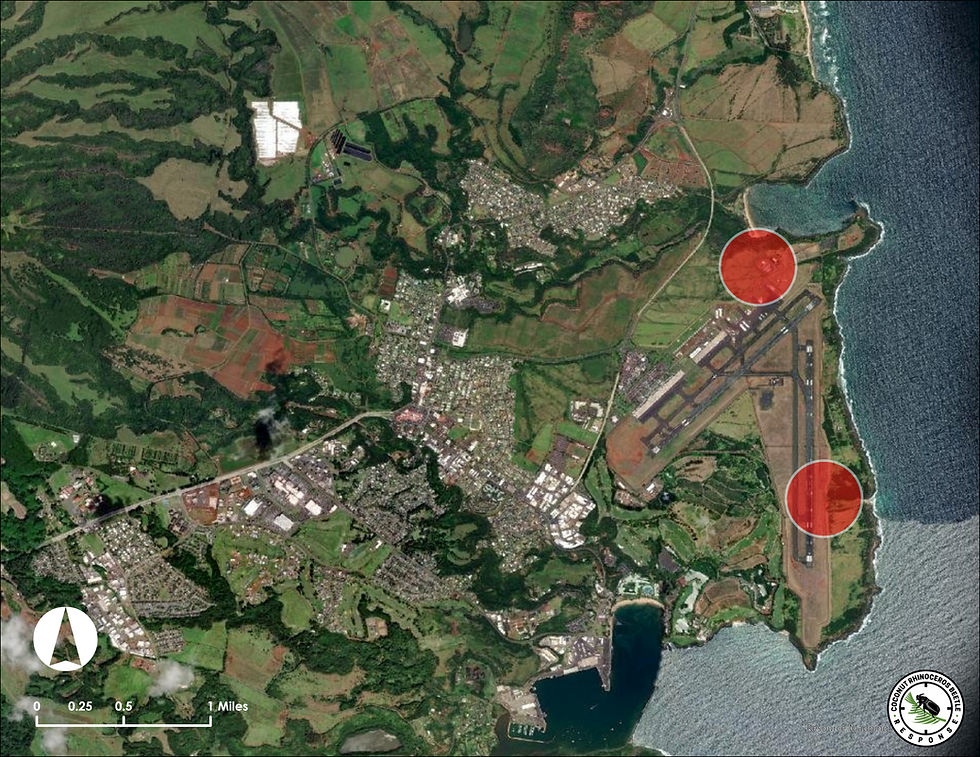 Map showing the general area of the trap finds close to Līhu‘e Airport.*