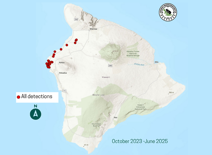 Other Islands Detections October 2024 date (2).png