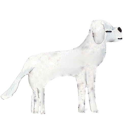 chien2.png