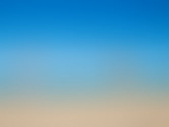 O que é Microbiota Intestinal e qual o impacto da Atividade FÃsica sobre ela