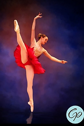 IMG_2490.PNG