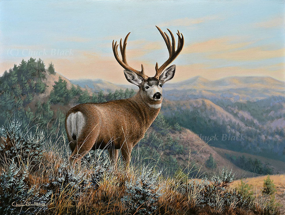 buck on mountain side painting.jpg