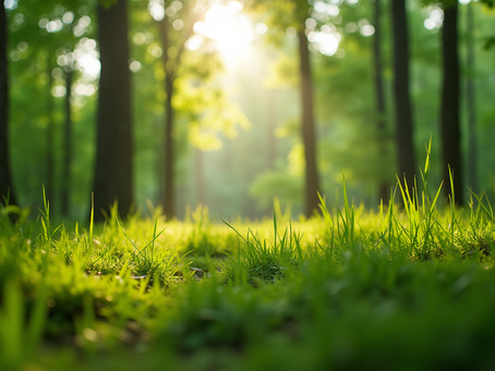 The Importance of Sustainable Living in Today's World