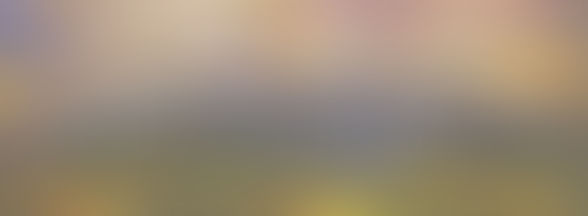 Not your Average Night Out