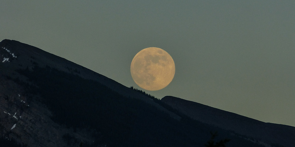 Playing with the new moon