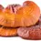 Thumbnail: REISHI MEDICINAL MUSHROOMS