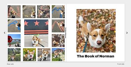 The Book of Norman.png