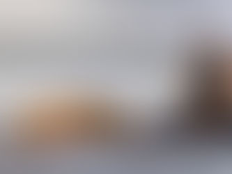 Fitness Fun for Pups and Pawrents