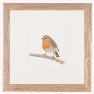Miniature Robin original pencil drawing by Stephanie Wayman