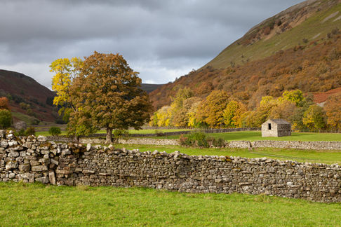 Swaledale in Autumn beautiful photo by Geoff Wayman