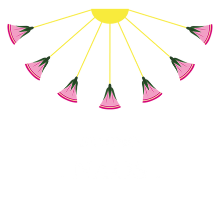 Logo Studio Naos, boutique de décoration d'intérieur française