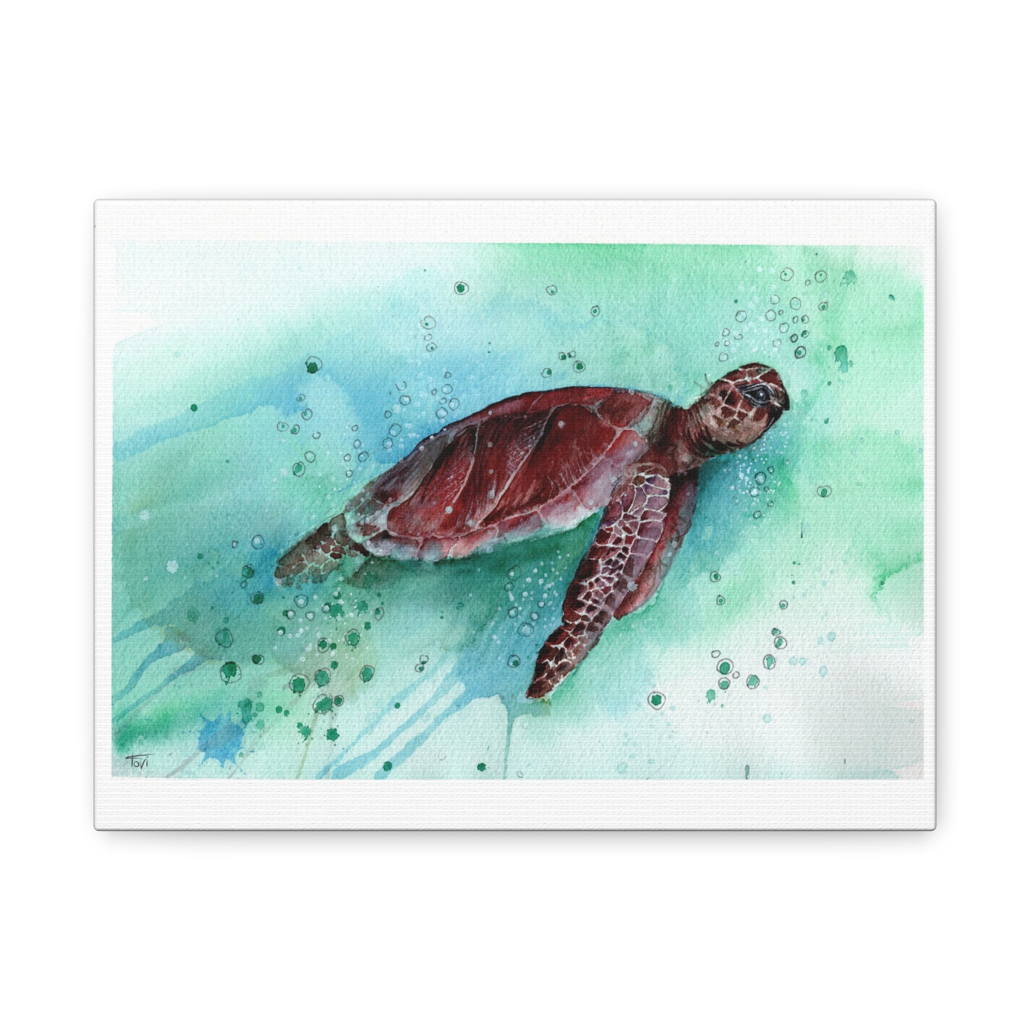 Sea Turtle