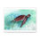 Thumbnail: Sea Turtle