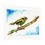 Thumbnail: Greenfinch - Fine Art Print
