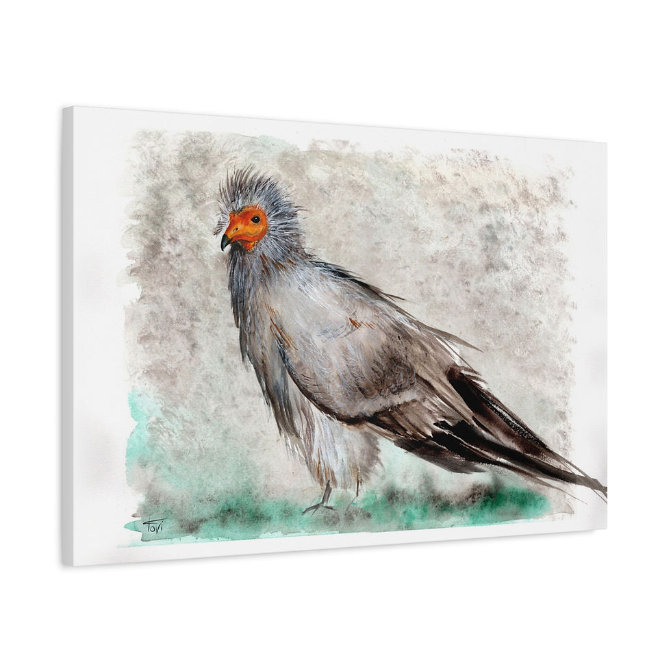 Thumbnail: Egyptian Vulture - Canvas Print