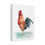 Thumbnail: Rooster