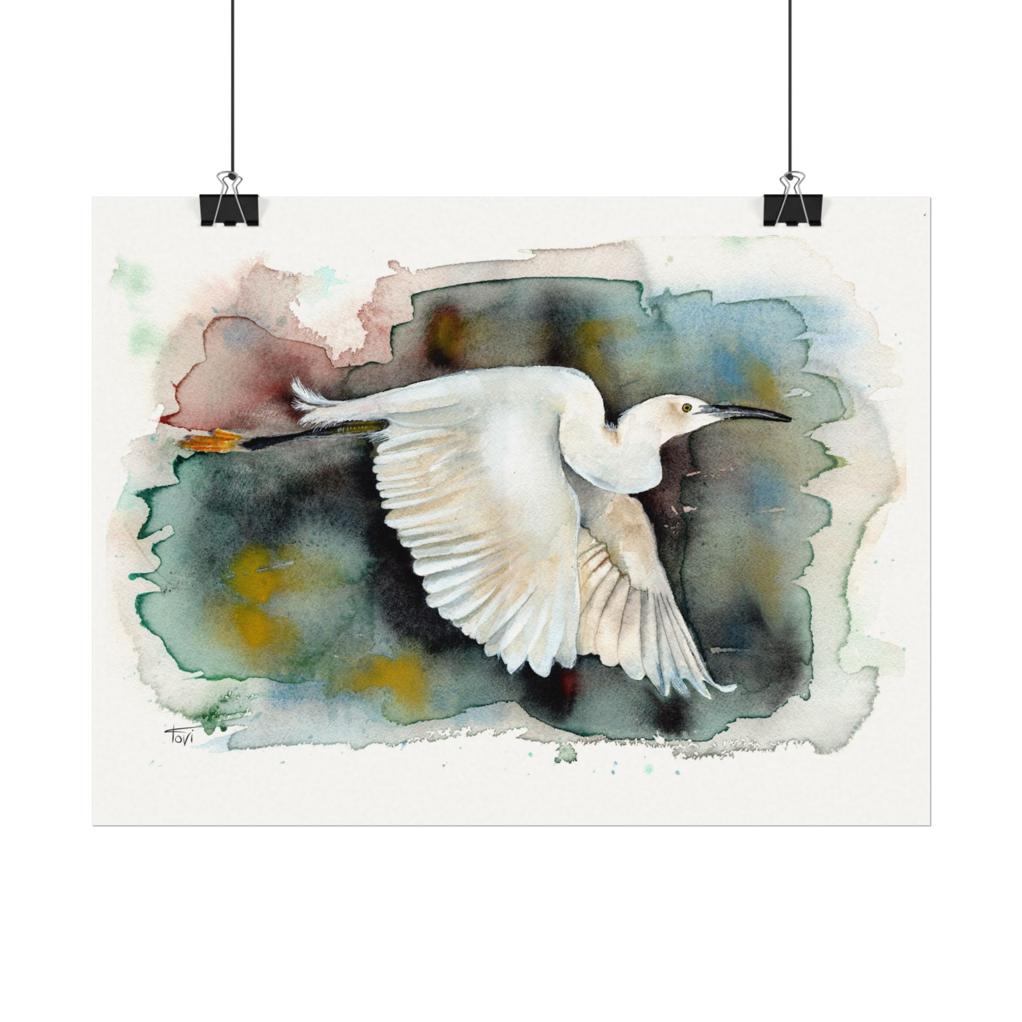 White Heron in Flight - Fine Art Print