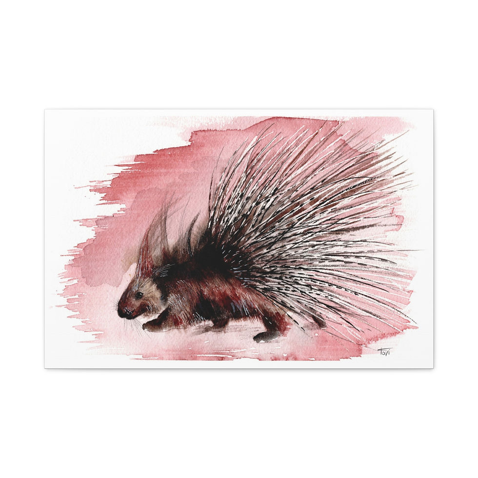 Thumbnail: Porcupine - Canvas Print
