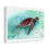 Thumbnail: Sea Turtle